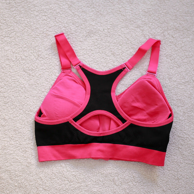 sports bra